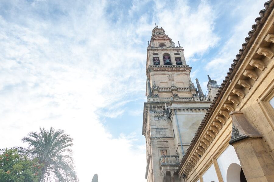 Mosque-Cathedral of Córdoba Guided Tour with Tickets - The main walk: columns, double arches, and your first wow