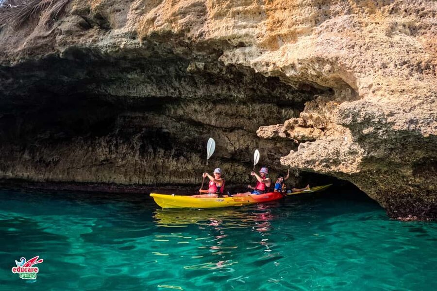 Nerja: Free kayaking route (without a tour guide). 2.5-hour tour. Nerja-Maro Waterfall. - Should you book Educare Aventura for Maro Waterfall by kayak?