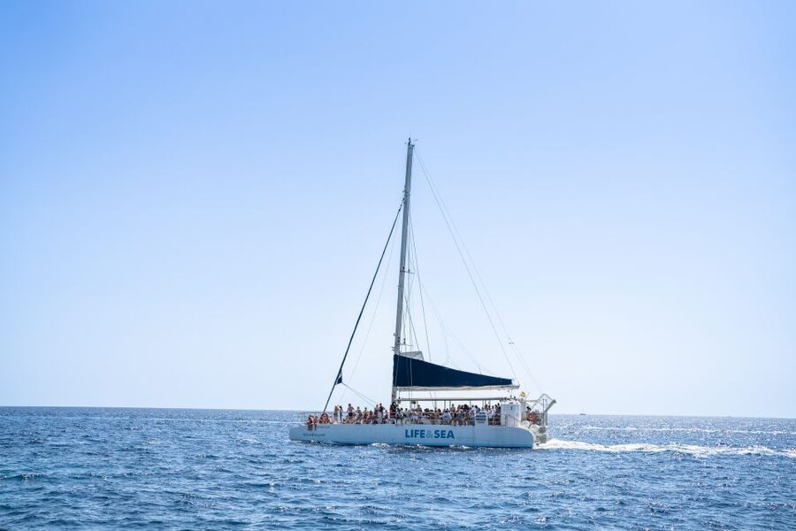 Palma: Catamaran Cruise with Swimming and Snorkelling - Key points to know before you sail Palma Bay