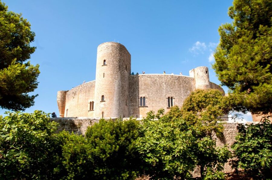 Palma de Mallorca: City Sightseeing Hop-On Hop-Off Bus Tour - Who This Tour Fits Best
