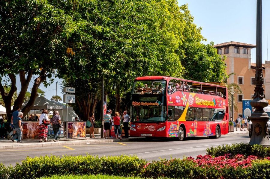 Palma de Mallorca: City Sightseeing Hop-On Hop-Off Bus Tour - Where the Stops Take You: Old Town Squares, Royal Palaces, and the Marina