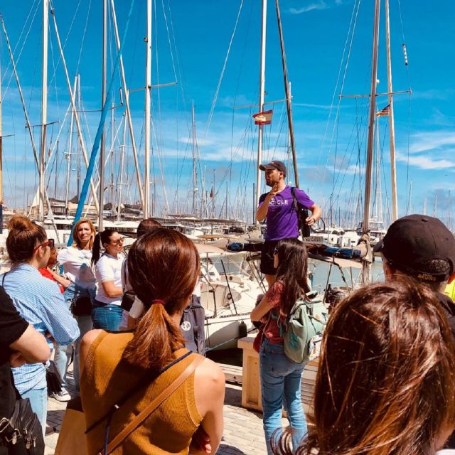 Palma de Mallorca: Guided Bicycle Tour - Group size and pacing, what to expect for your comfort