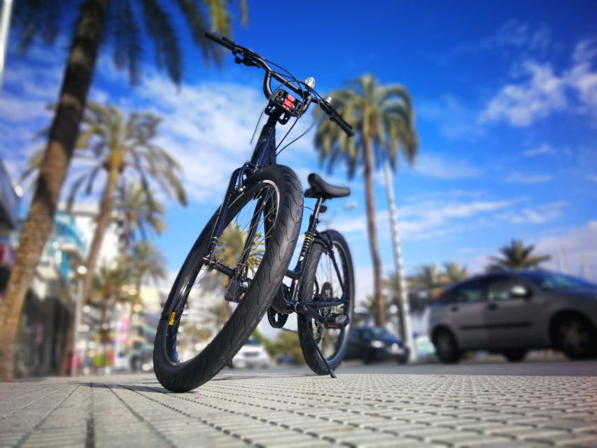 Palma de Mallorca: Guided Bicycle Tour - Plaça de Cort and Passeig des Born, classic Palma set pieces