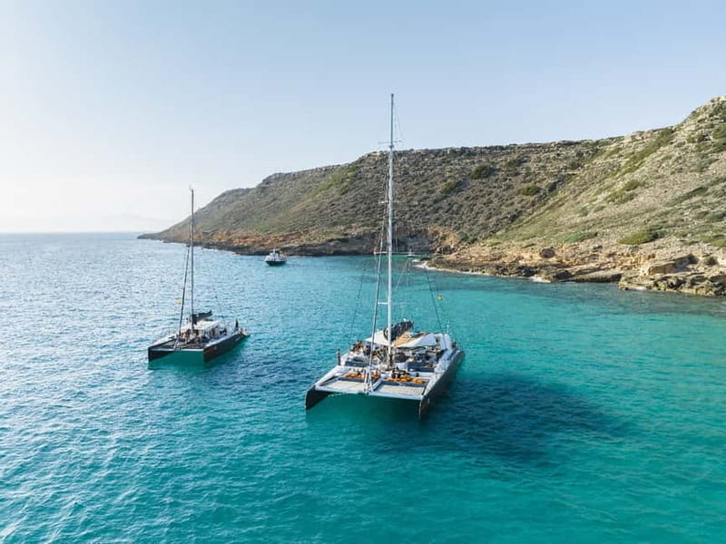 Palma de Mallorca: Half-Day Catamaran Tour with Buffet Meal - Key highlights at a glance