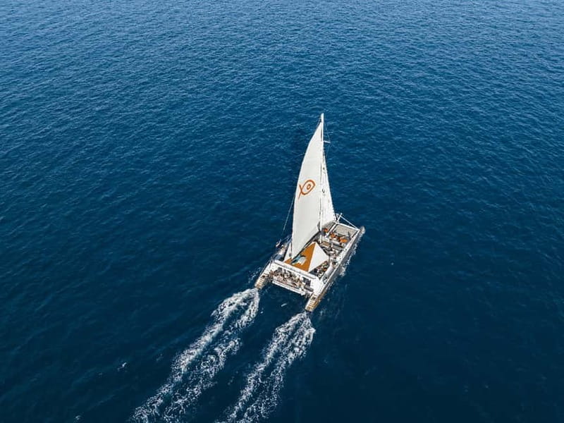 Palma de Mallorca: Half-Day Catamaran Tour with Buffet Meal - Getting on board: Golondrinas marina, Attraction Catamarans deck