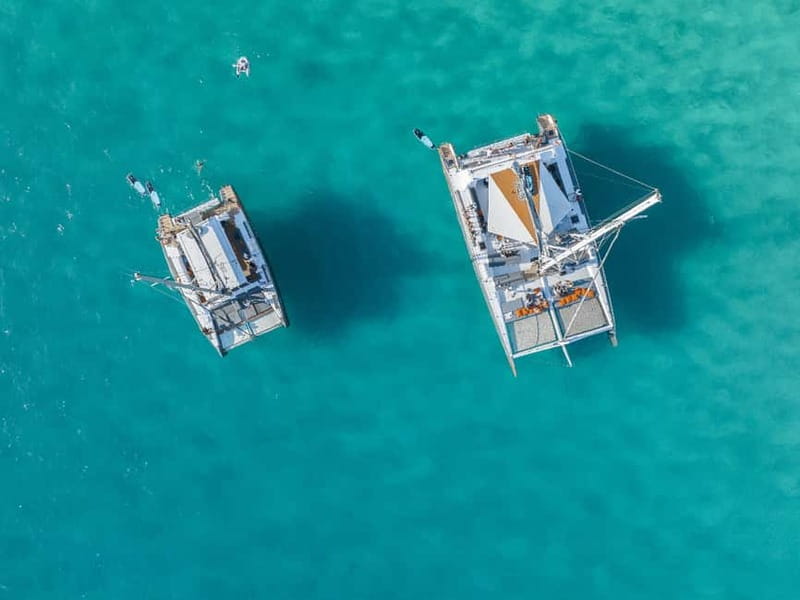 Palma de Mallorca: Half-Day Catamaran Tour with Buffet Meal - Cala Vella swim stop: the main event, plus gear you may need