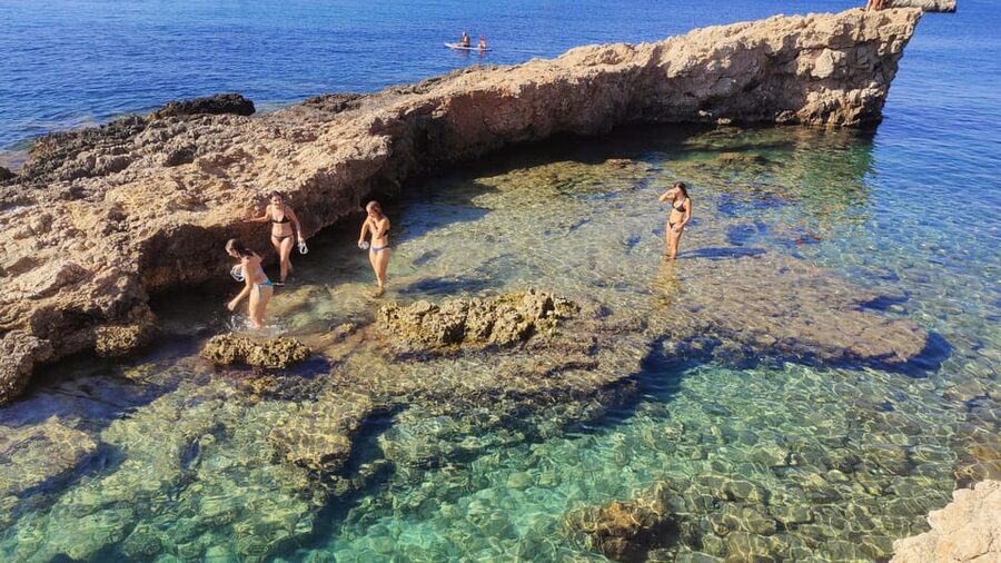 Palma de Mallorca: SmallGroup Tour by Locals in Hidden Coves - Forest path to hidden coves, snorkeling time, and optional cliff jumping