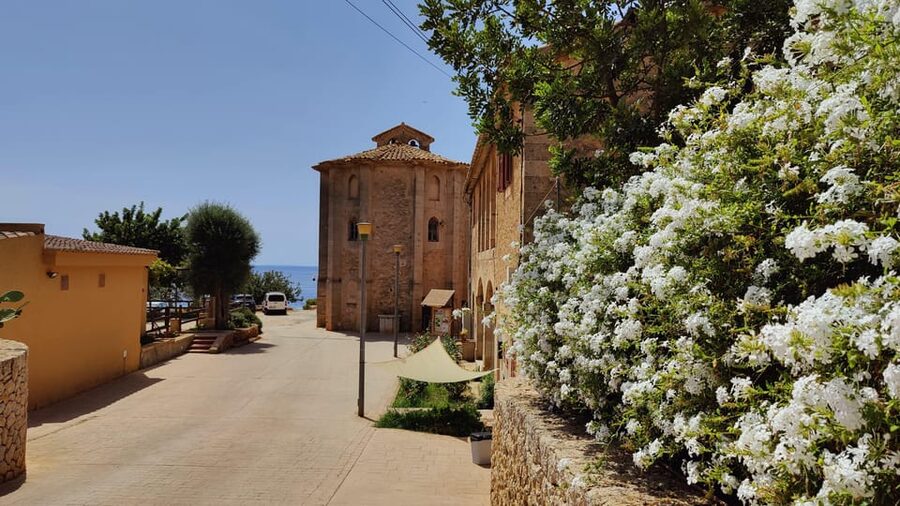 Palma de Mallorca: SmallGroup Tour by Locals in Hidden Coves - Who this tour suits best, and who should skip it