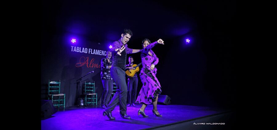 Palma: Flamenco Show at Tablao Flamenco Alma with Drink - Your Ticket: Drink Included, Tapas Available