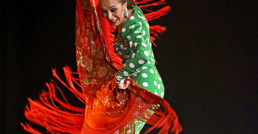 Palma: Flamenco Show at Tablao Flamenco Alma with Drink - Who This Flamenco Show Is Best For