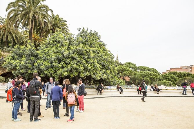 Park Guell Guided Tour with Skip the Line Ticket - Practical Notes That Actually Affect Your Comfort