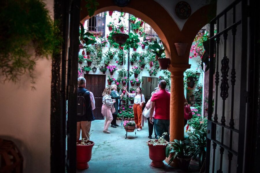Patios of Cordoba Walking Tour - Key things I think you will care about