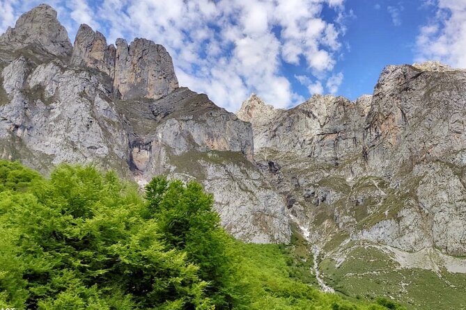 Picos de Europa and Potes Guided Tour from Santander-small groups - Who This Tour Is Best For