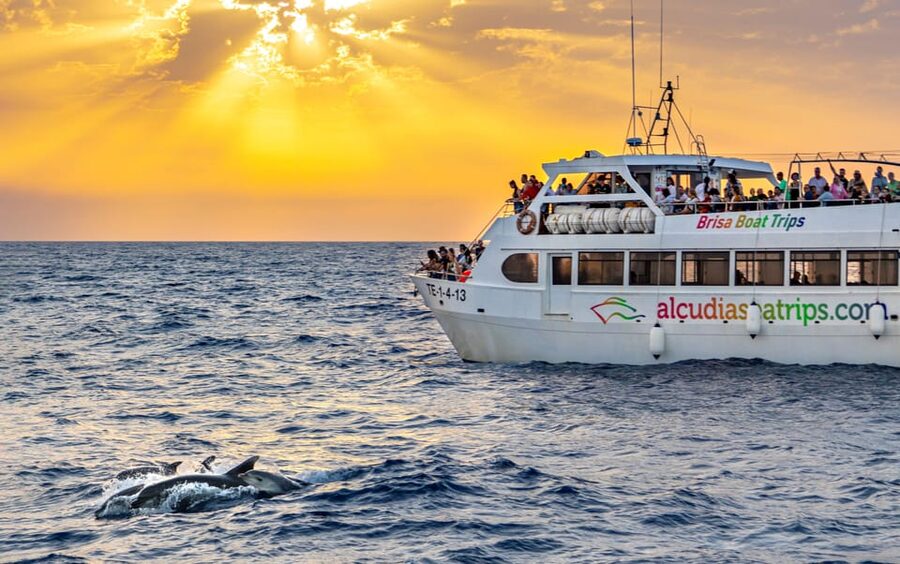 Port d'Alcudia: Sunrise at Sea & Dolphin Watching Boat Tour - From Passeig Marítim to the open water: the feel of the morning