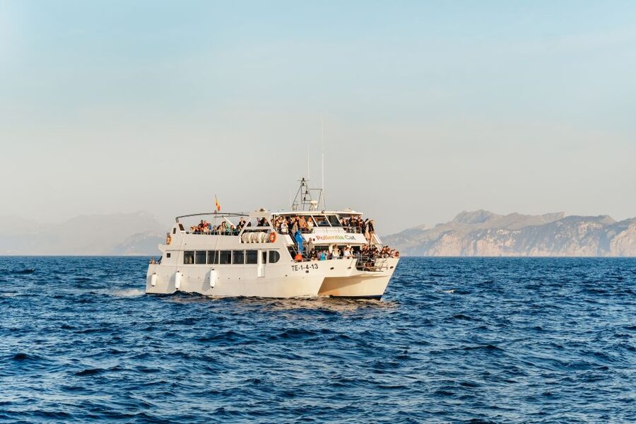 Port d'Alcudia: Sunrise at Sea & Dolphin Watching Boat Tour - Alcúdia sunrise stop: what you’re really looking at