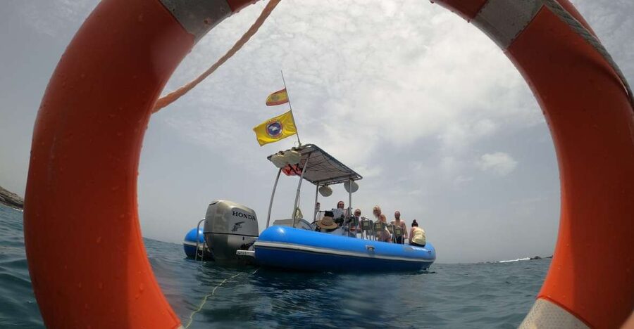 Puerto Colon: Dolphin and Whale Watching Speedboat Tour - Quick hit points (what makes this one worth your time)