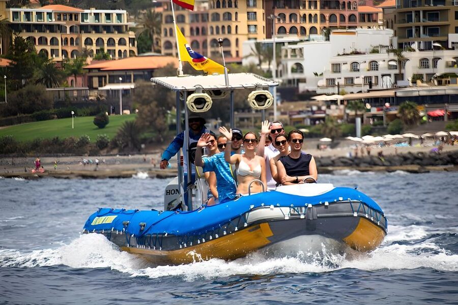 Puerto Colon: Dolphin and Whale Watching Speedboat Tour - Palm-Mar or La Caleta: the swim and snorkeling part that makes it feel complete