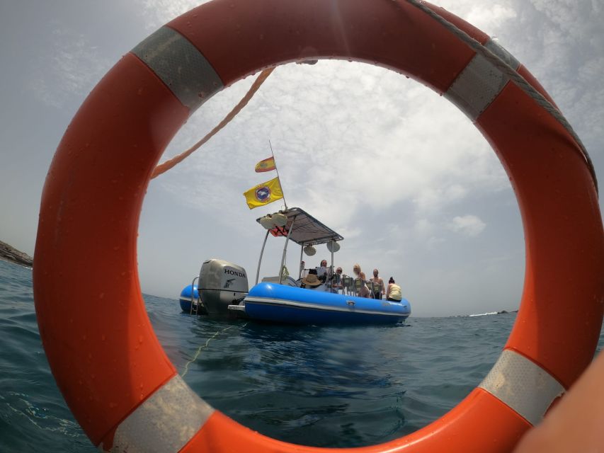 Puerto Colon: Dolphin and Whale Watching Speedboat Tour - The Wildlife Hunt: dolphins, whales, turtles, and the species surprises