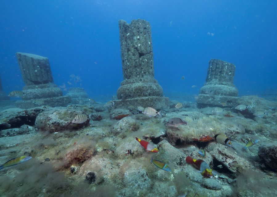 Puerto de Mogán: Submarine Tour - Quick checklist before you go