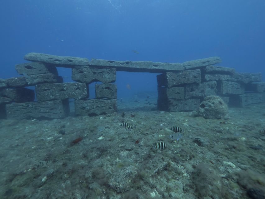 Puerto de Mogán: Submarine Tour - Golden Shark at Puerto de Mogán: what makes this tour worth $45