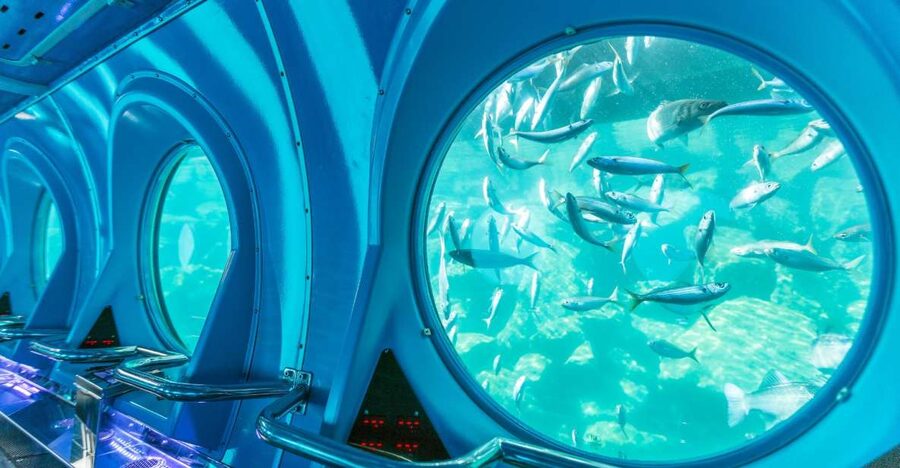 Puerto de Mogán: Submarine Tour - Windows, screens, and comfort: practical tips to enjoy the ride