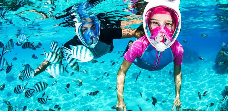 Puerto del Carmen: Dolphin-Watching Speedboat Tour with Swim - The Swim Stop: Open-Sea Cooling With a Few Real Safety Notes
