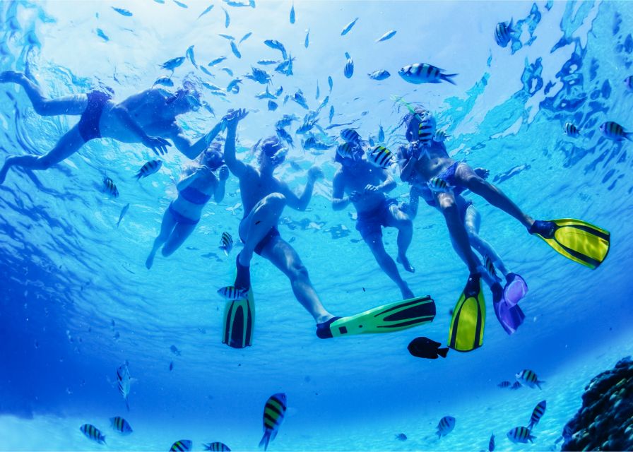 Puerto del Carmen: Dolphin-Watching Speedboat Tour with Swim - Price and Value: What $41 Buys in the Real World