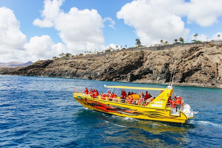 Puerto del Carmen: Dolphin-Watching Speedboat Tour with Swim - Should You Book This Dolphin-Watching Speedboat Tour?