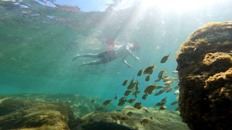 Puerto Mogán: Guided Adventure Kayak Tour in Caves & Snorkel - Quick hits before you go
