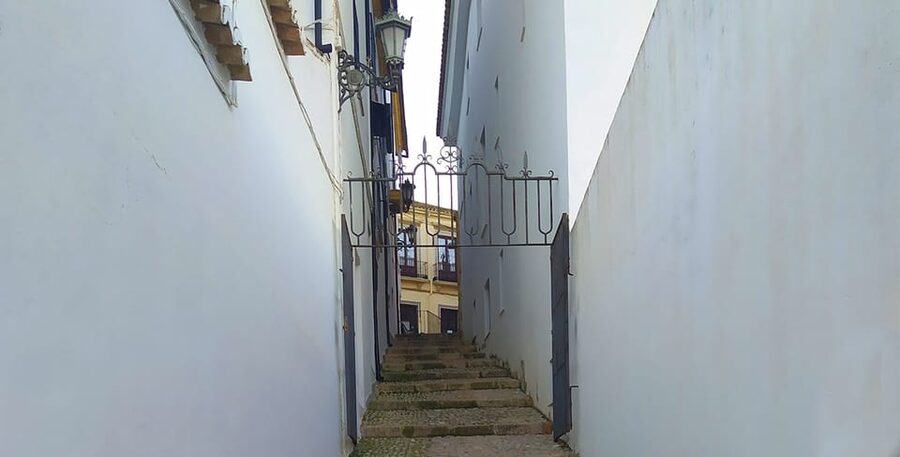 Ronda and Setenil Tour with Free Time and Map from Málaga - Setenil’s 1-Hour Town Visit: What You Can Realistically See