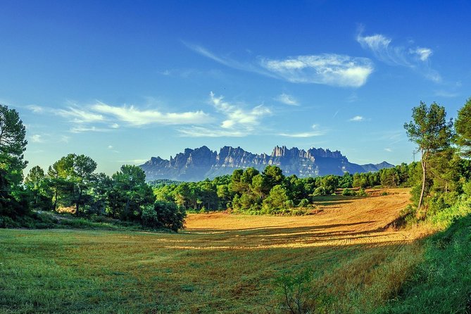 Sagrada Familia & Montserrat Small Group Tour with Hotel pick-up - Sagrada Familia: Why the Extra €26 Fee Is Part of the Deal