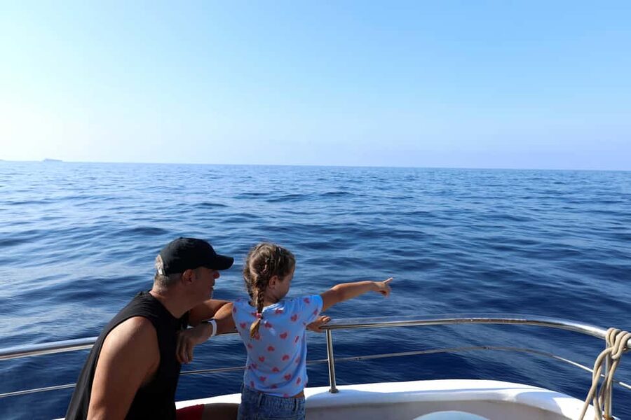Santa Ponsa: Dolphin Watching Cruise - Who should book this dolphin cruise, and who might skip it