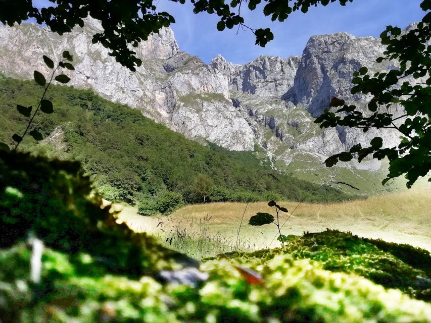 Santander: Picos, Santo Toribio Monastery and Potes Day Tour - Who should book this Santander to Picos day trip