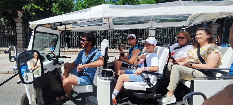"See Madrid Differently: A Premium Private Tuk Tuk Ride" - The Route: From Plaza Mayor Past San Miguel to La Latina
