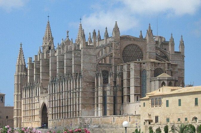Segway Tour 1 Hour in Palma - Key highlights