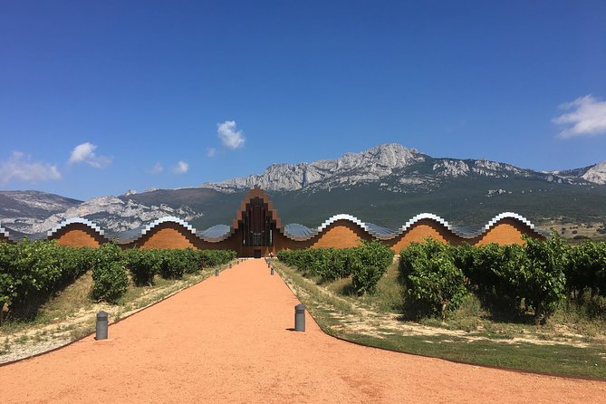 Semi-Private Rioja Tour of 3 Premium Wineries from Bilbao - Haro’s subterranean winery: tour first, then premium tastings