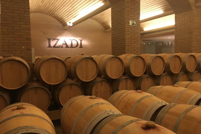 Semi-Private Rioja Tour of 3 Premium Wineries from Bilbao - Frank Gehry at Marques de Riscal: quick photo stop, big visual payoff