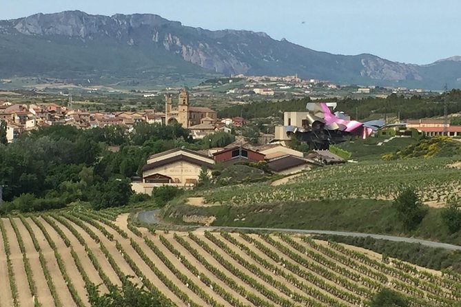 Semi-Private Rioja Tour of 3 Premium Wineries from Bilbao - Should you book this Rioja tour from Bilbao?