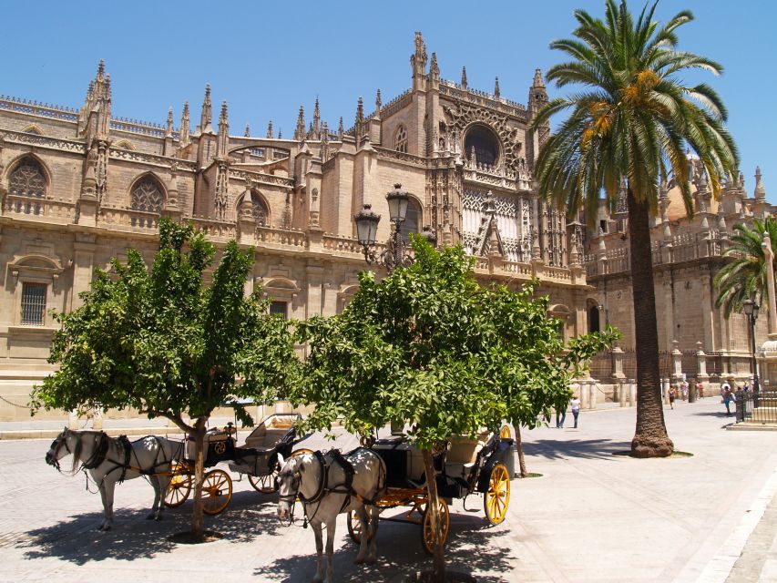 Seville: Alcázar Guided Palace Tour with Priority Access - Price and value check: is about $40 worth 1.5 hours?