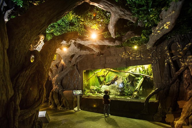 Seville Aquarium Admission Ticket - Axolotls and conservation: the exhibit with a message