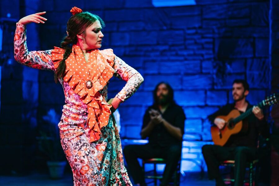 Seville: Baraka Sala Flamenca Show with Drink in Triana - Who should book this flamenco show in Triana, and who might not