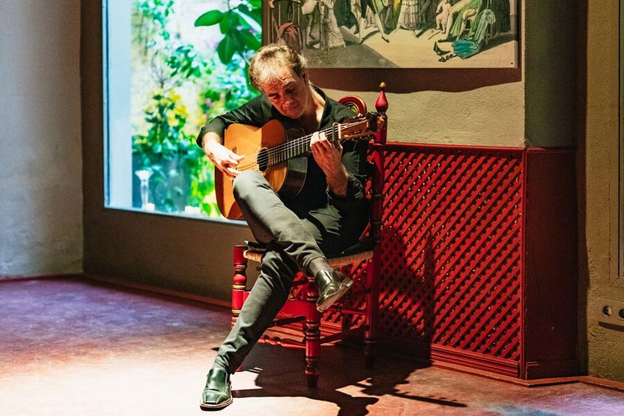 Seville: Casa de la Memoria Flamenco Show - Who this flamenco show suits best