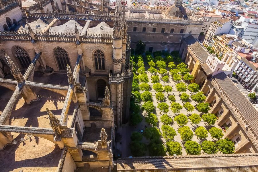 Seville: Cathedral and La Giralda Entry Ticket - Climbing the tower for views, with realistic photo expectations