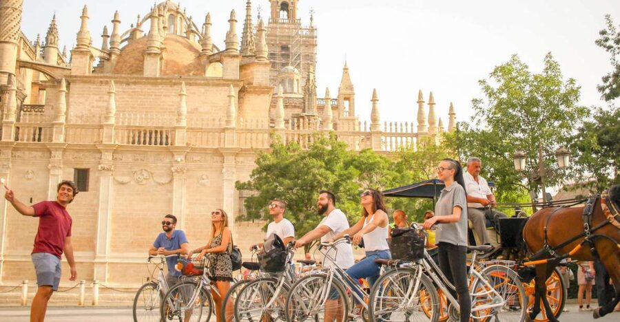 Seville: City Sightseeing and Local Culture Bike Tour - Torre del Oro and San Telmo Palace, plus the view angle advantage