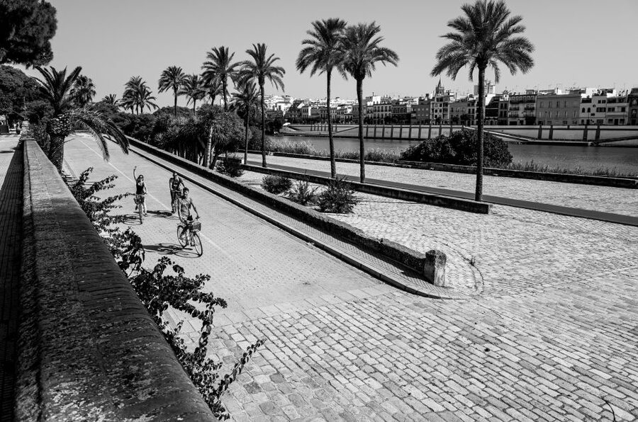 Seville: City Sightseeing and Local Culture Bike Tour - The Alcázar area: why bike timing helps you plan a real visit