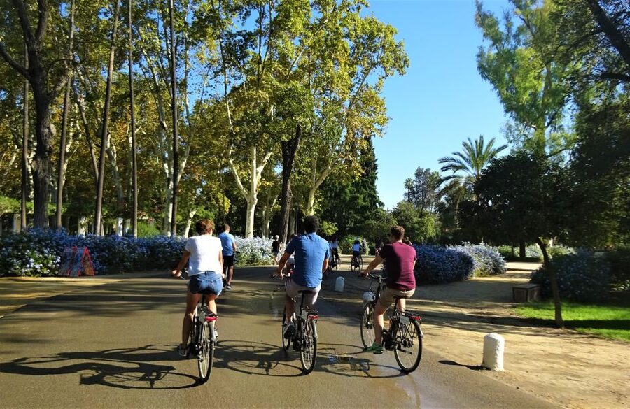 Seville: Electric Bike Tour in Small Group - Triana by e-bike: local street character without the full trek