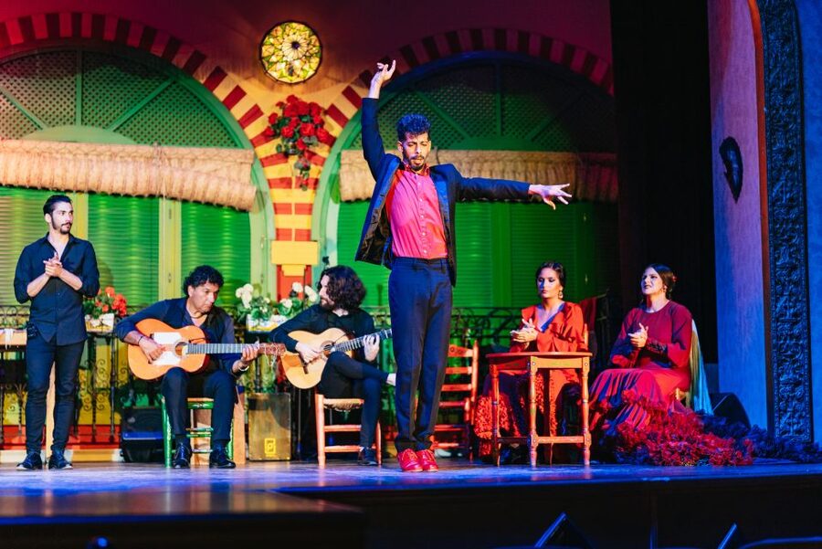 Seville: Flamenco at El Palacio Andaluz with Optional Dinner - Who This Evening Fits Best (and who should think twice)
