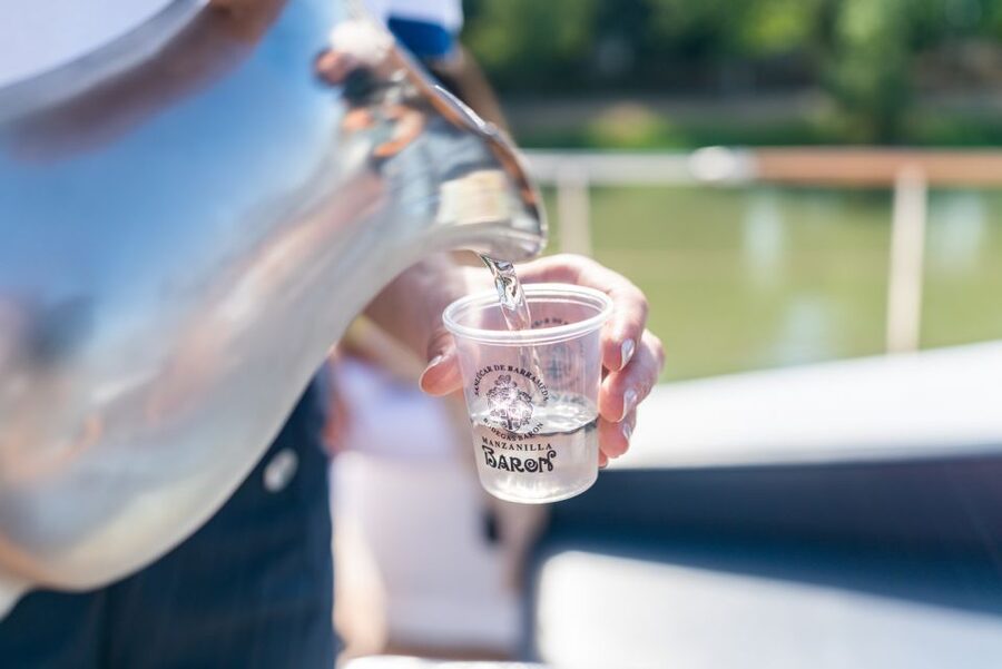 Seville: Guadalquivir Boat Tour with Optional Lunch/Dinner - So, should you book the Seville Guadalquivir boat tour?