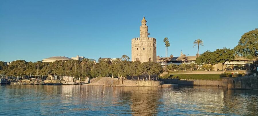 Seville: Guadalquivir Boat Tour with Optional Lunch/Dinner - Onboard comfort: sun terrace, climate control, and that bar service option