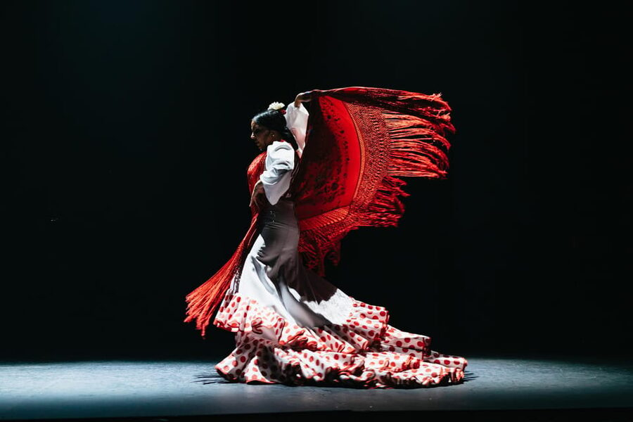 Seville: Live Flamenco Dancing Show Ticket at the Theater - Key things to know before you go